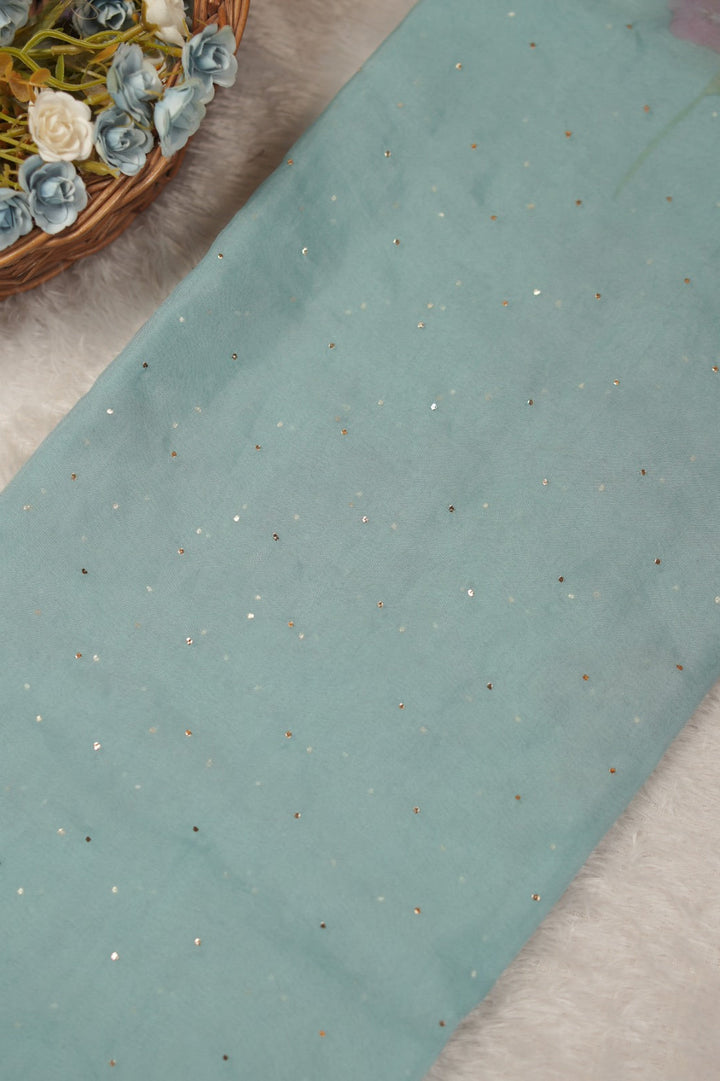 Nylon Organza Saree TSA01185