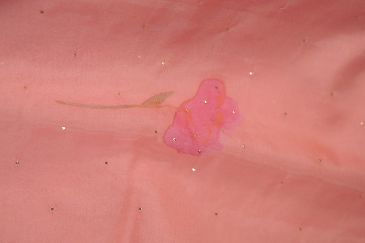 Nylon Organza Saree TSA01192