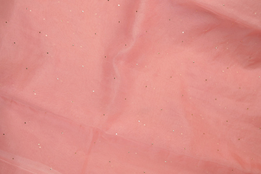 Nylon Organza Saree TSA01192