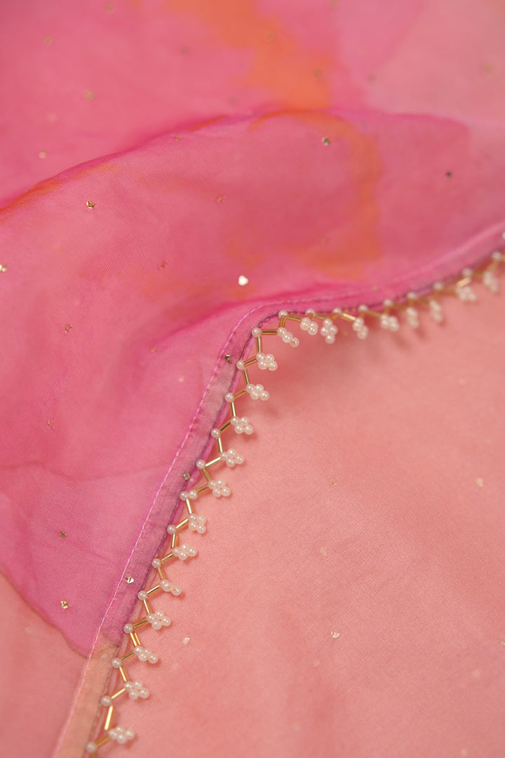 Nylon Organza Saree TSA01192