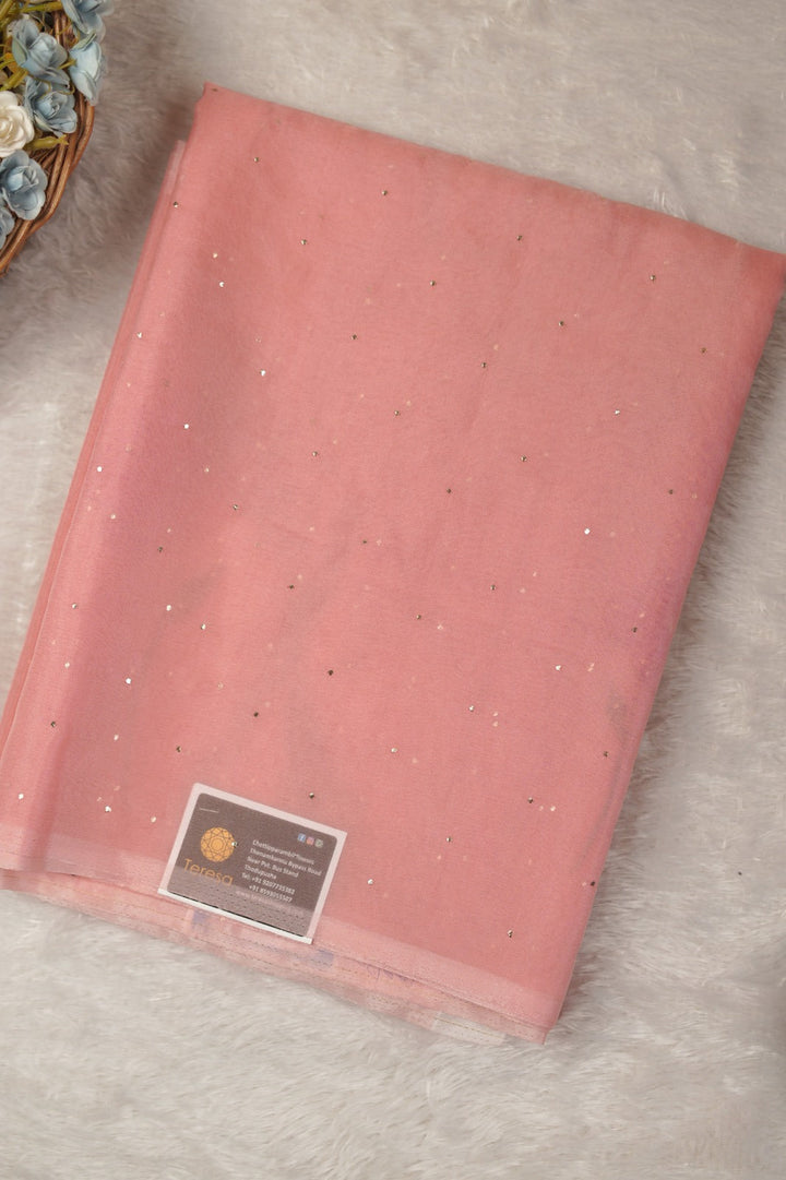 Nylon Organza Saree TSA01192