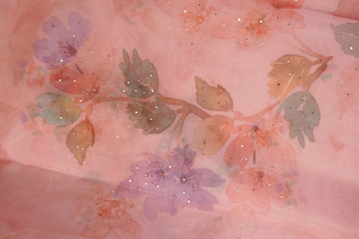 Nylon Organza Saree TSA01191