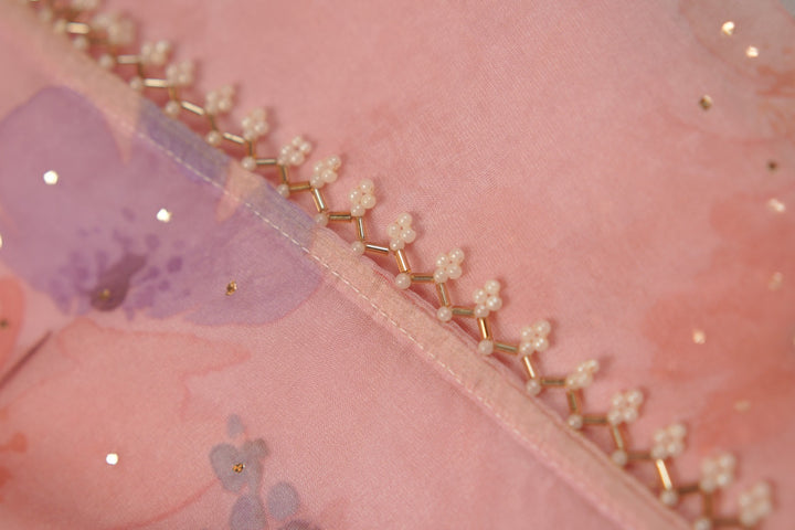 Nylon Organza Saree TSA01191