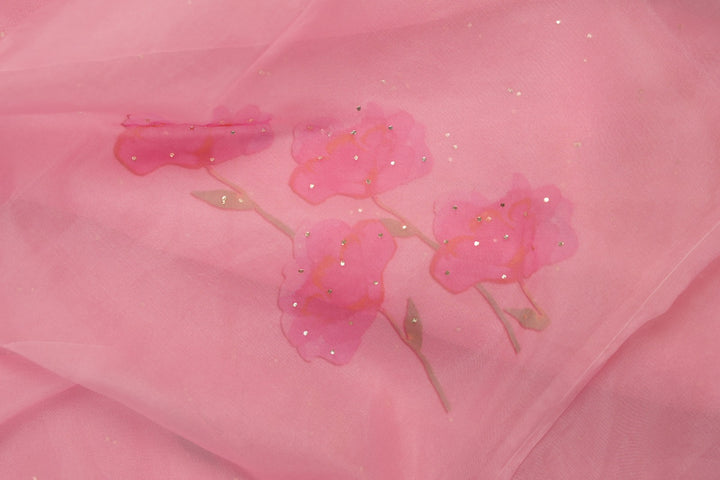 Nylon Organza Saree TSA01186