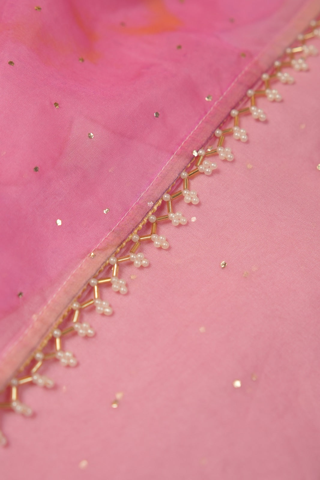 Nylon Organza Saree TSA01186