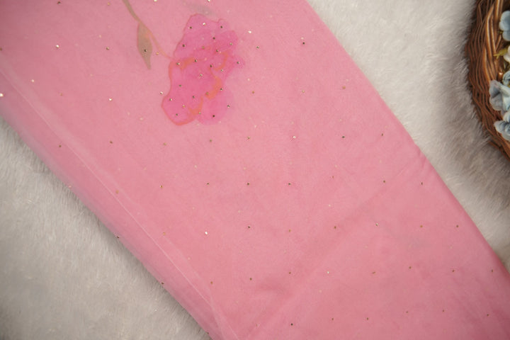 Nylon Organza Saree TSA01186