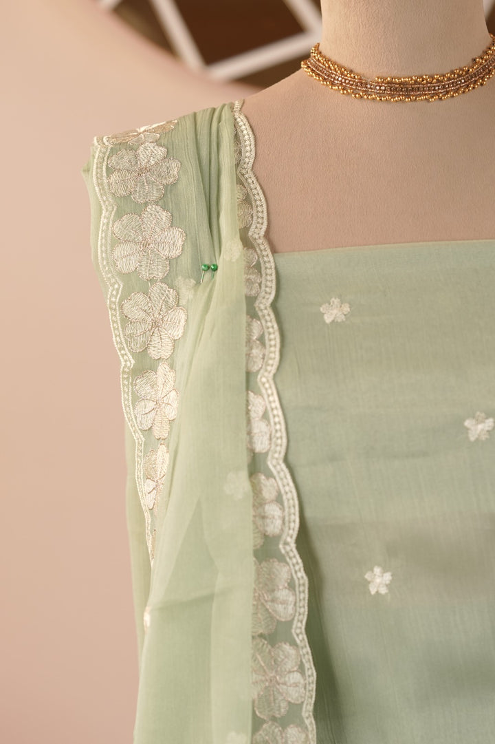 Crushed Organza Salwar TSS01145