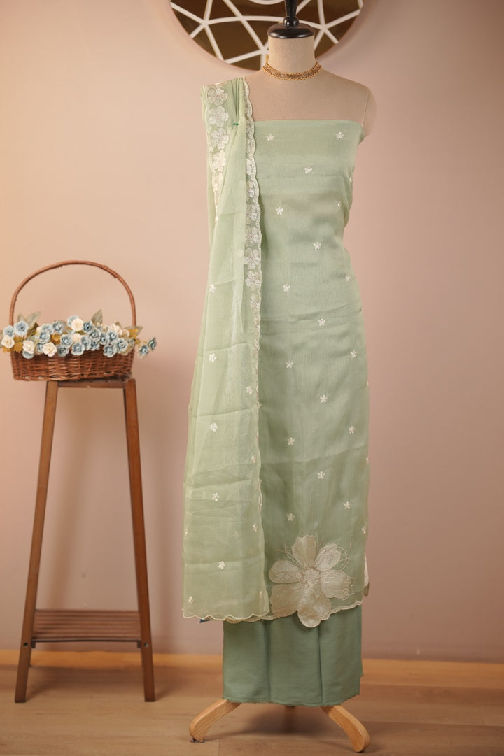Crushed Organza Salwar TSS01145