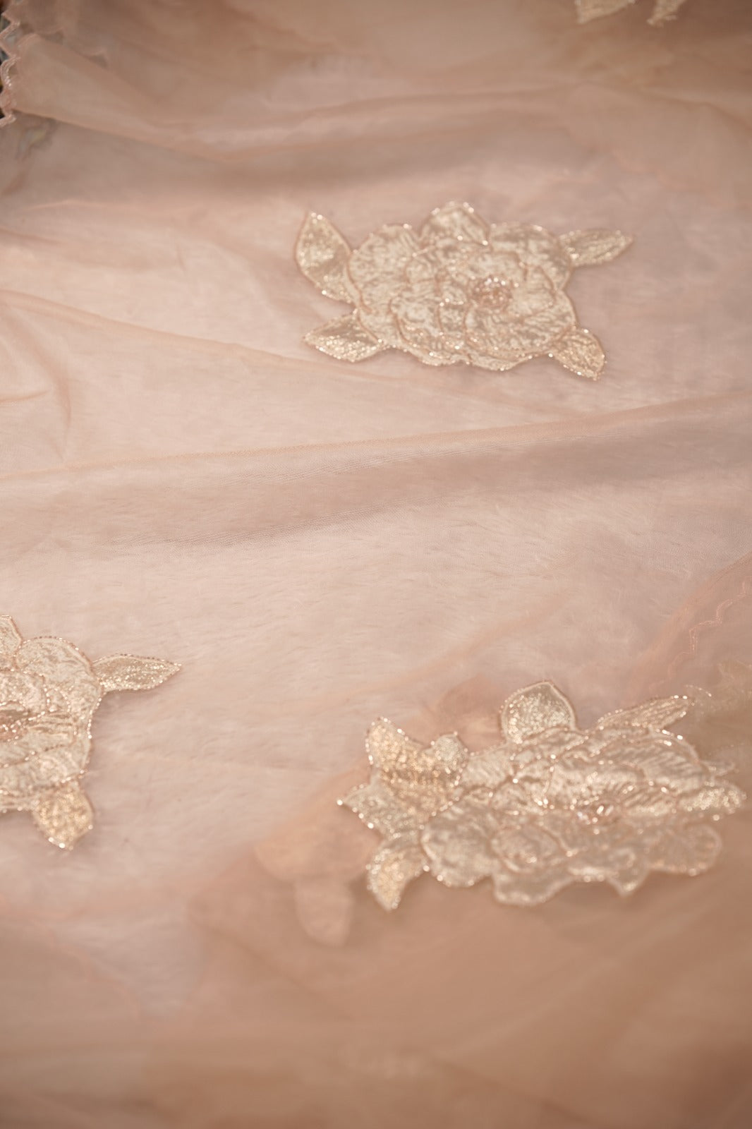 Organza Saree TSA5732