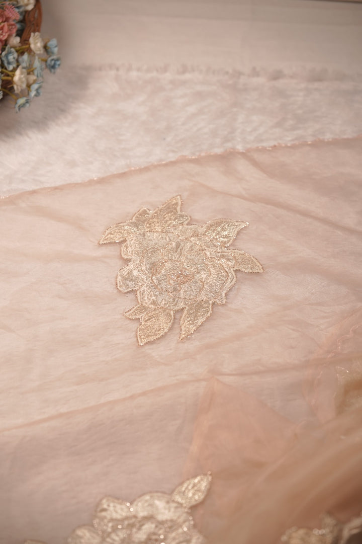 Organza Saree TSA5732