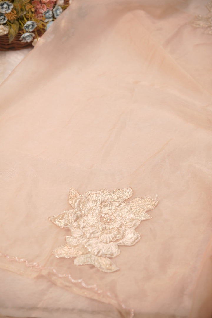 Organza Saree TSA5732