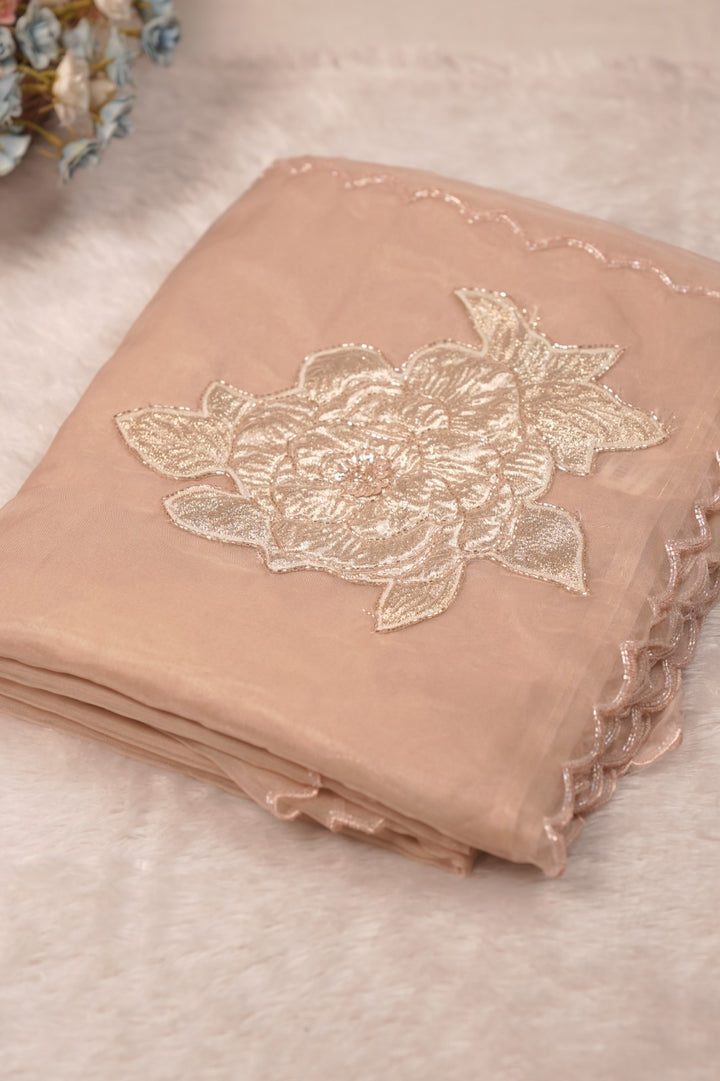 Organza Saree TSA5732