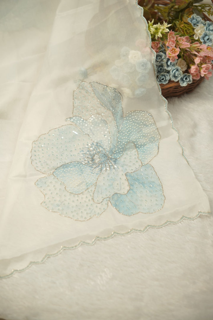 Organza Salwar TSS01211