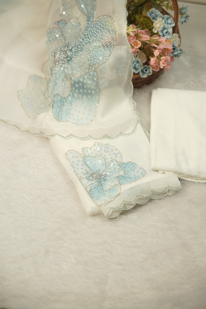 Organza Salwar TSS01211