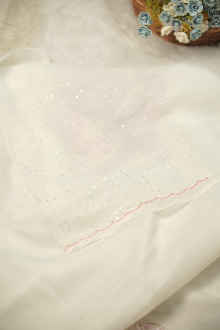 Organza Salwar TSS01210