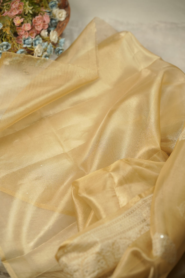 Tissue Net Saree TSA01208