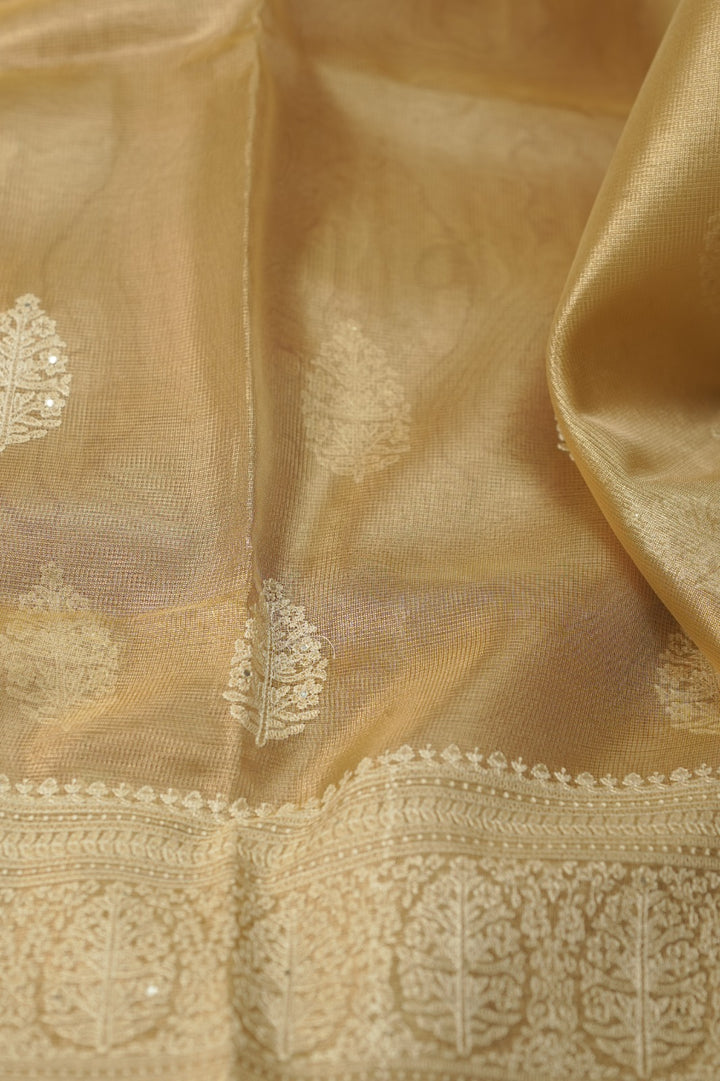 Tissue Net Saree TSA01208