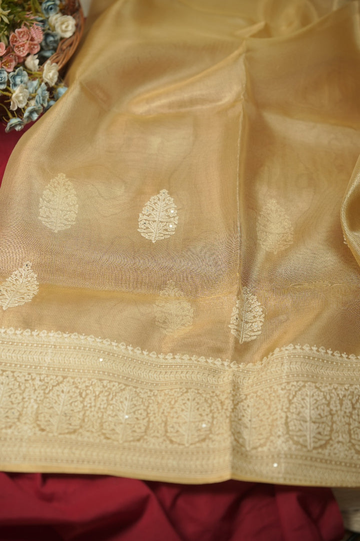 Tissue Net Saree TSA01208