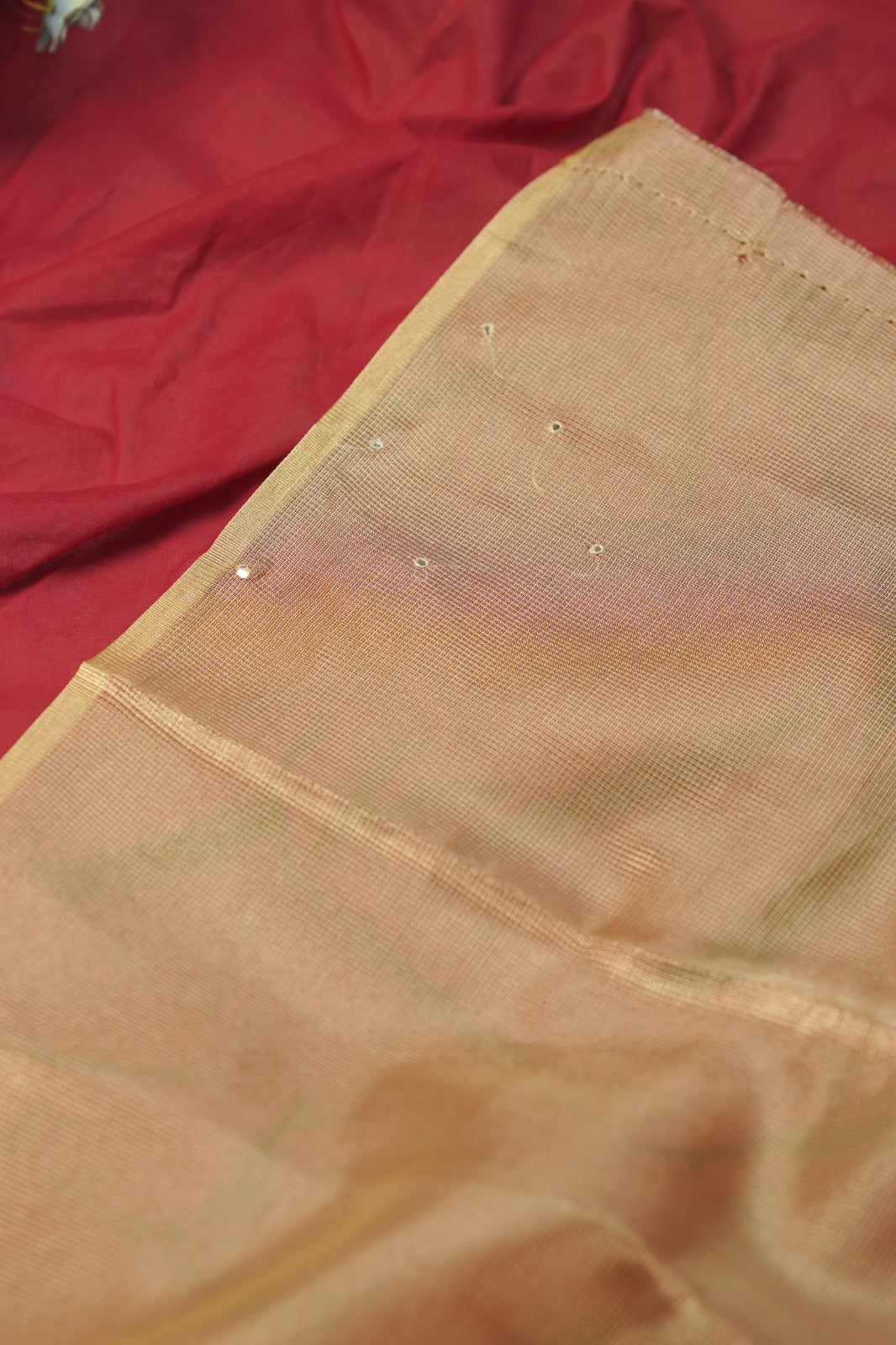 Tissue Net Saree TSA01208