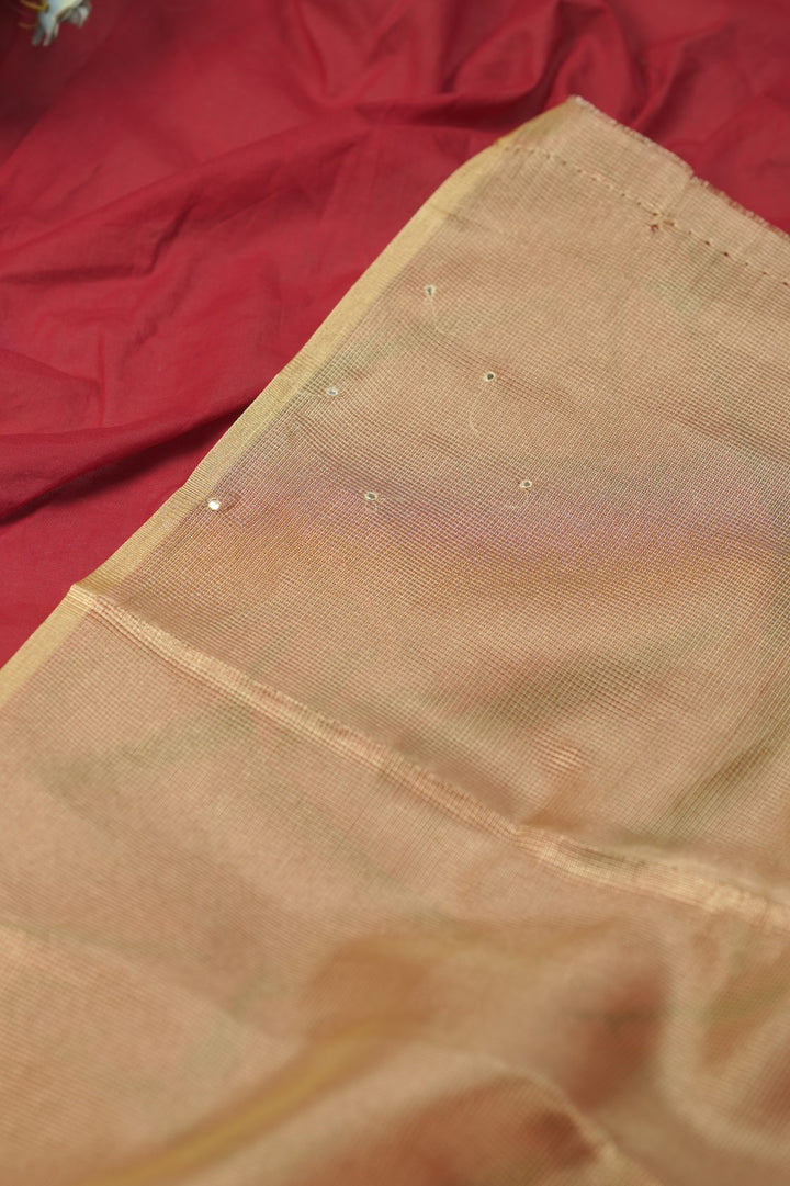 Tissue Net Saree TSA01208