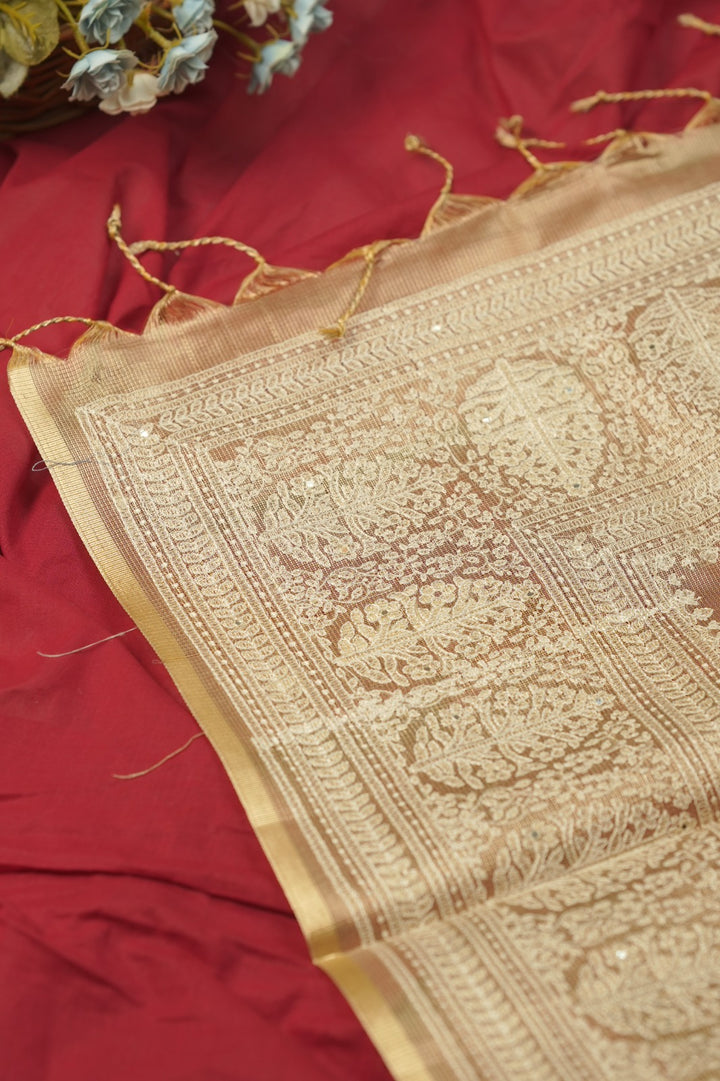 Tissue Net Saree TSA01208