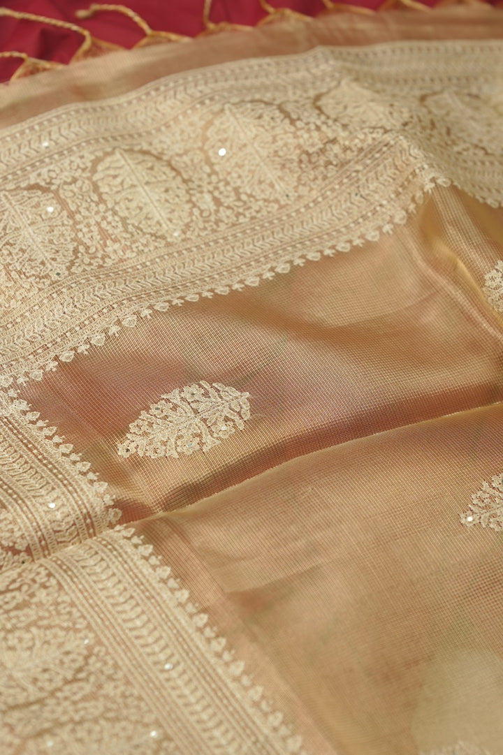 Tissue Net Saree TSA01208