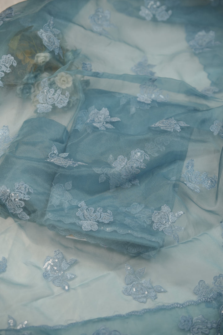 Organza Salwar TSS01235