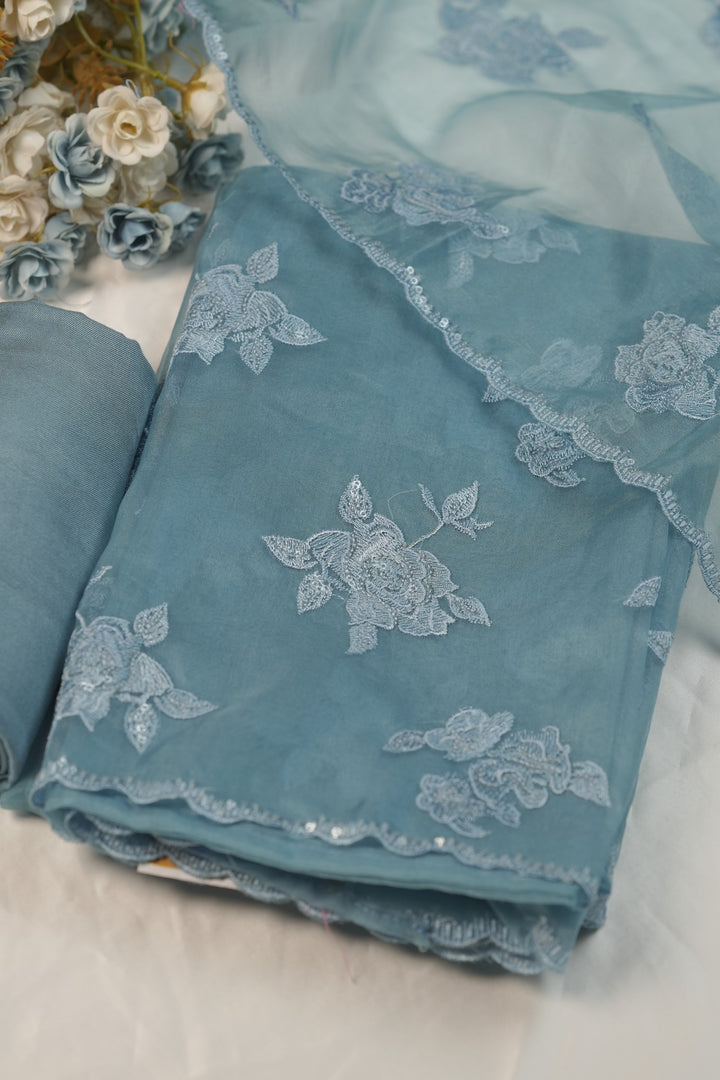 Organza Salwar TSS01235