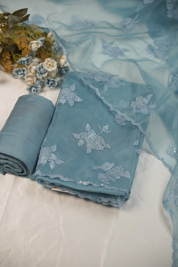 Organza Salwar TSS01235