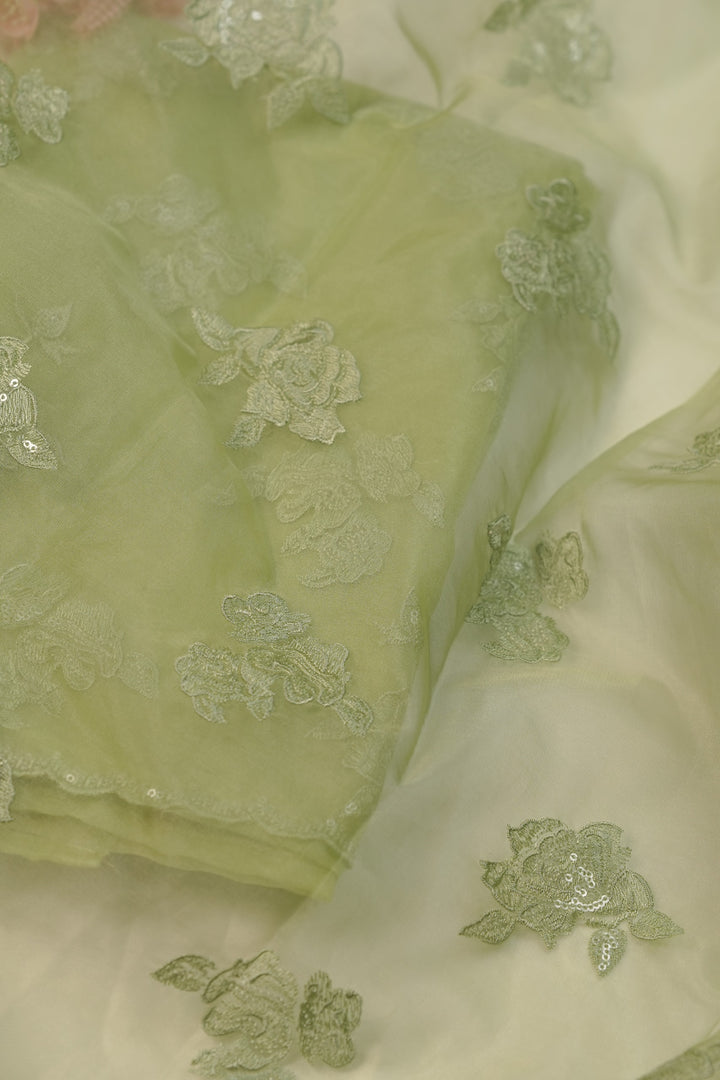 Organza Salwar TSS01234