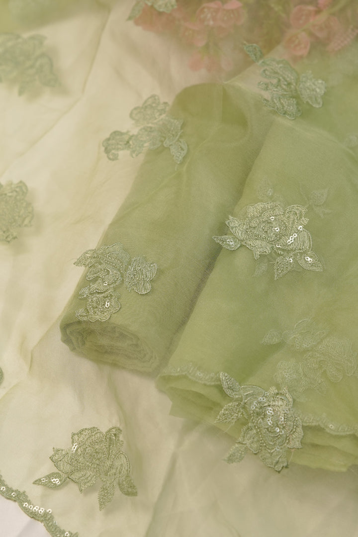 Organza Salwar TSS01234