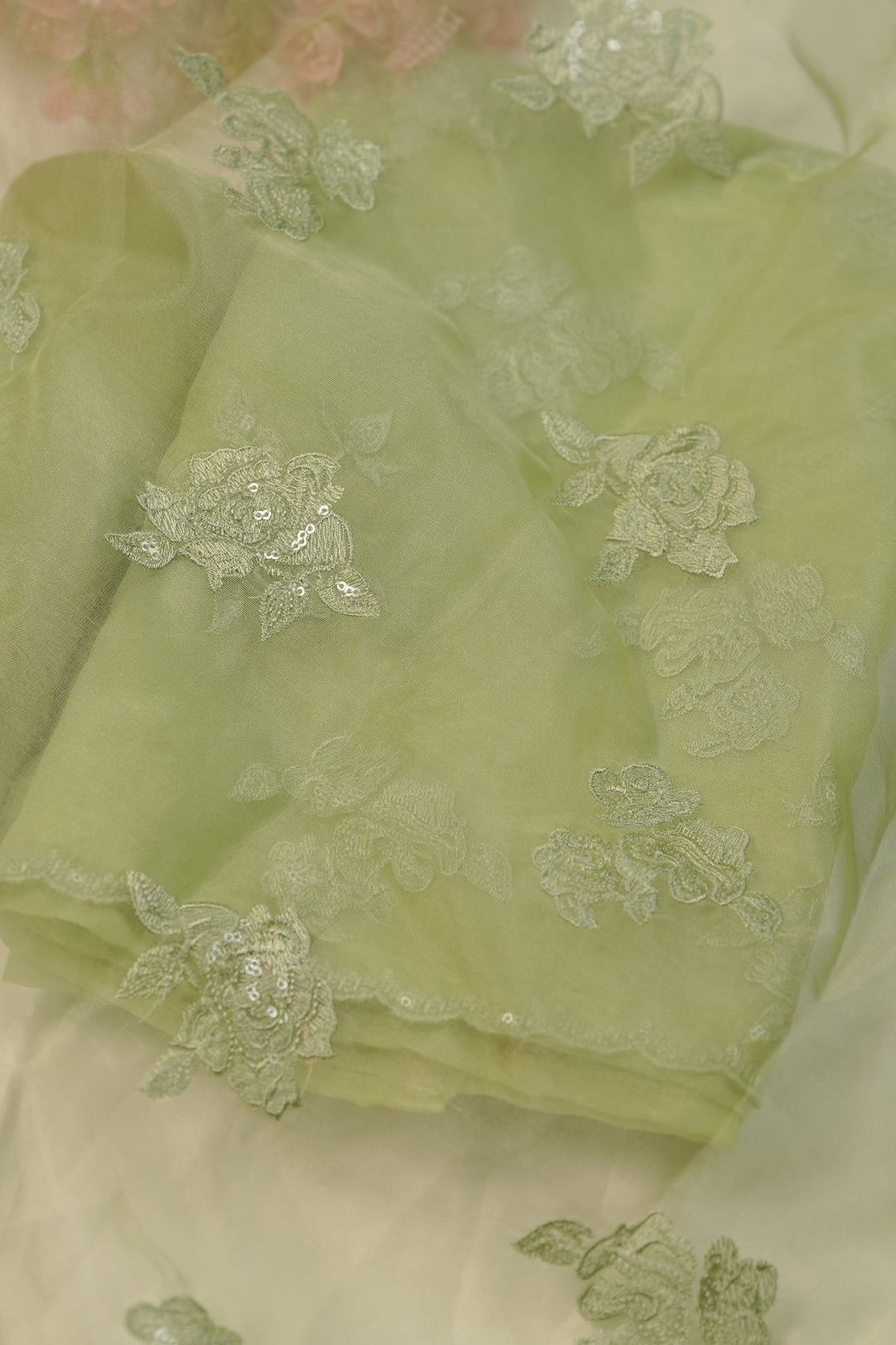 Organza Salwar TSS01234