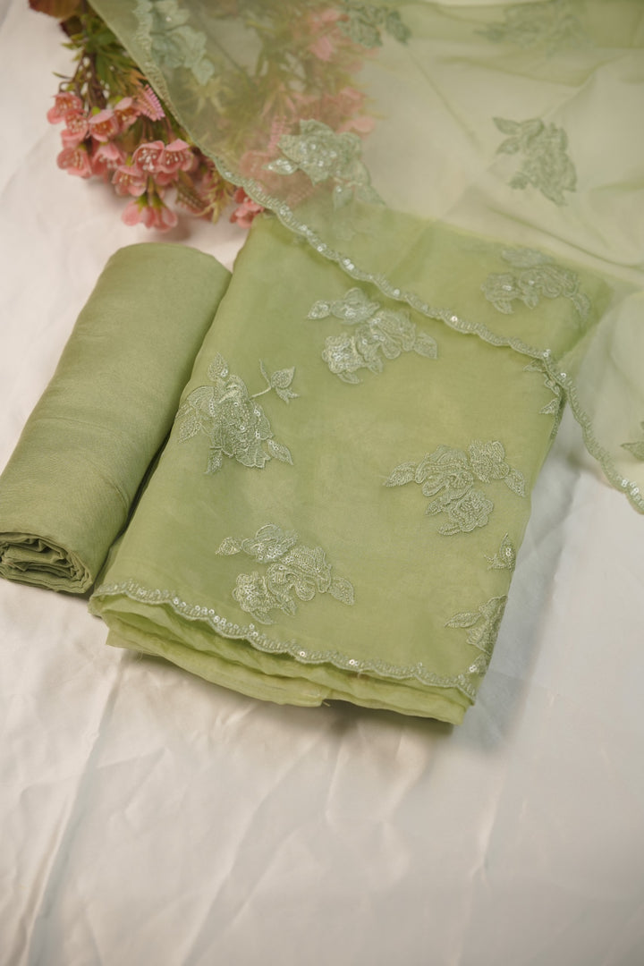 Organza Salwar TSS01234