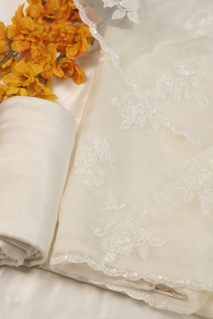 Organza Salwar TSS01233