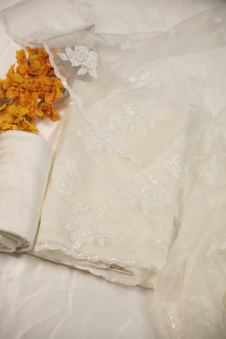 Organza Salwar TSS01233