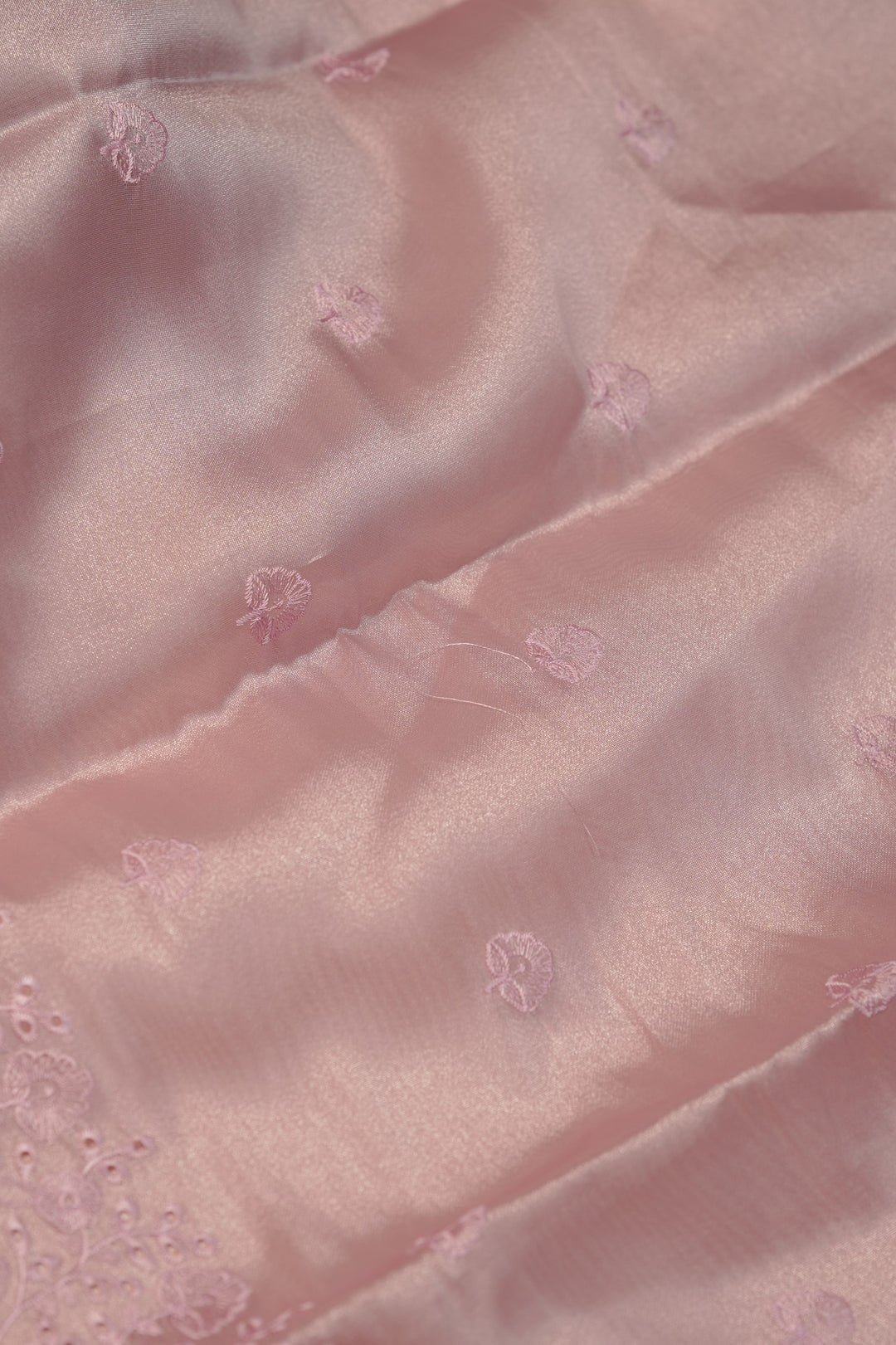 Tissue Organza Salwar TSS01232