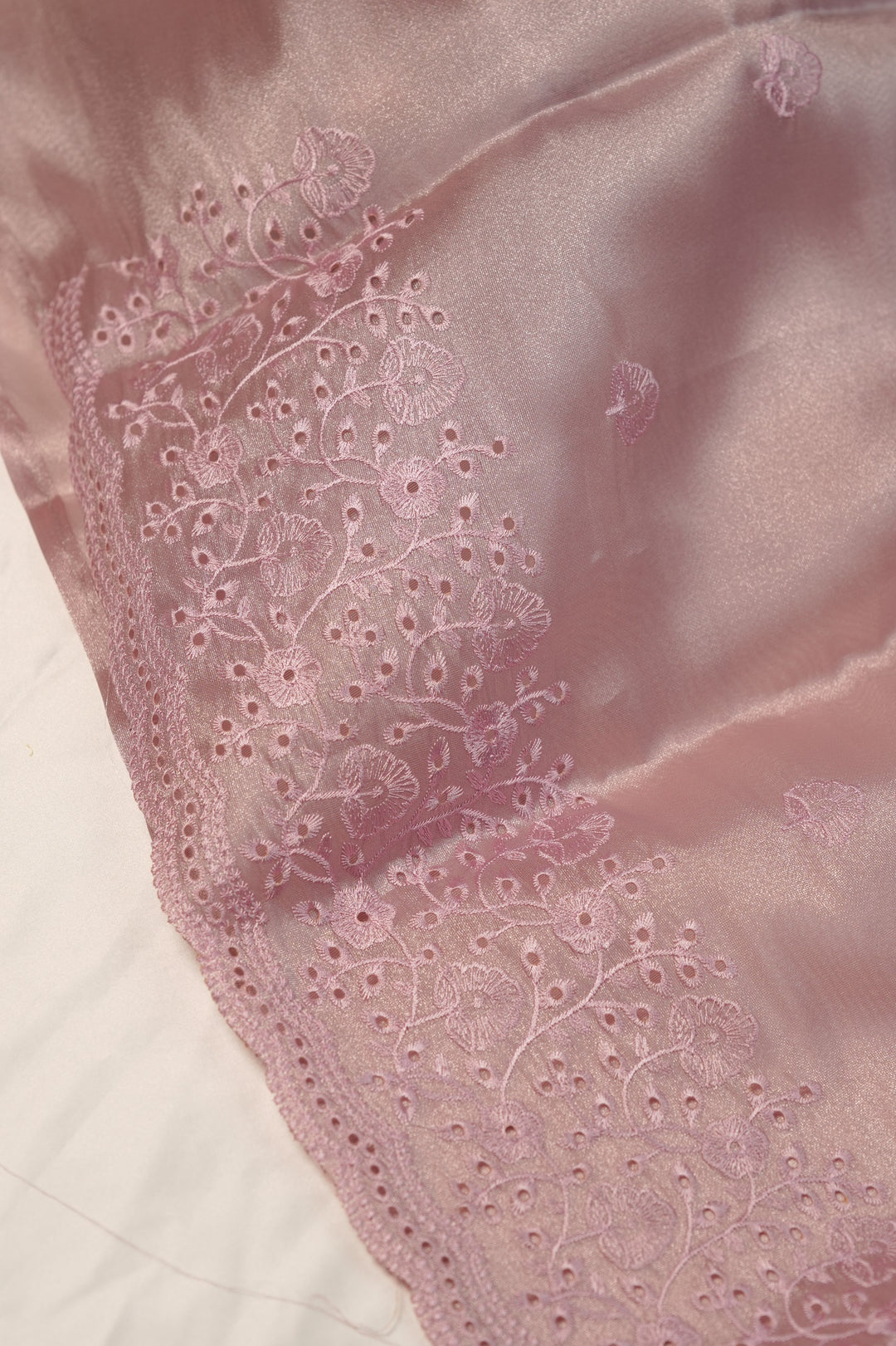 Tissue Organza Salwar TSS01232