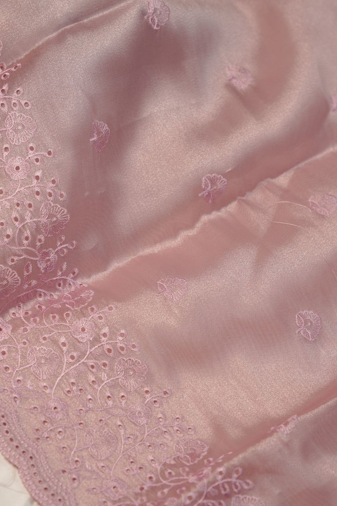 Tissue Organza Salwar TSS01232