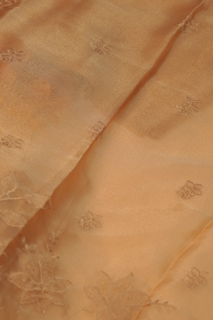 Tissue Organza Salwar TSS01231