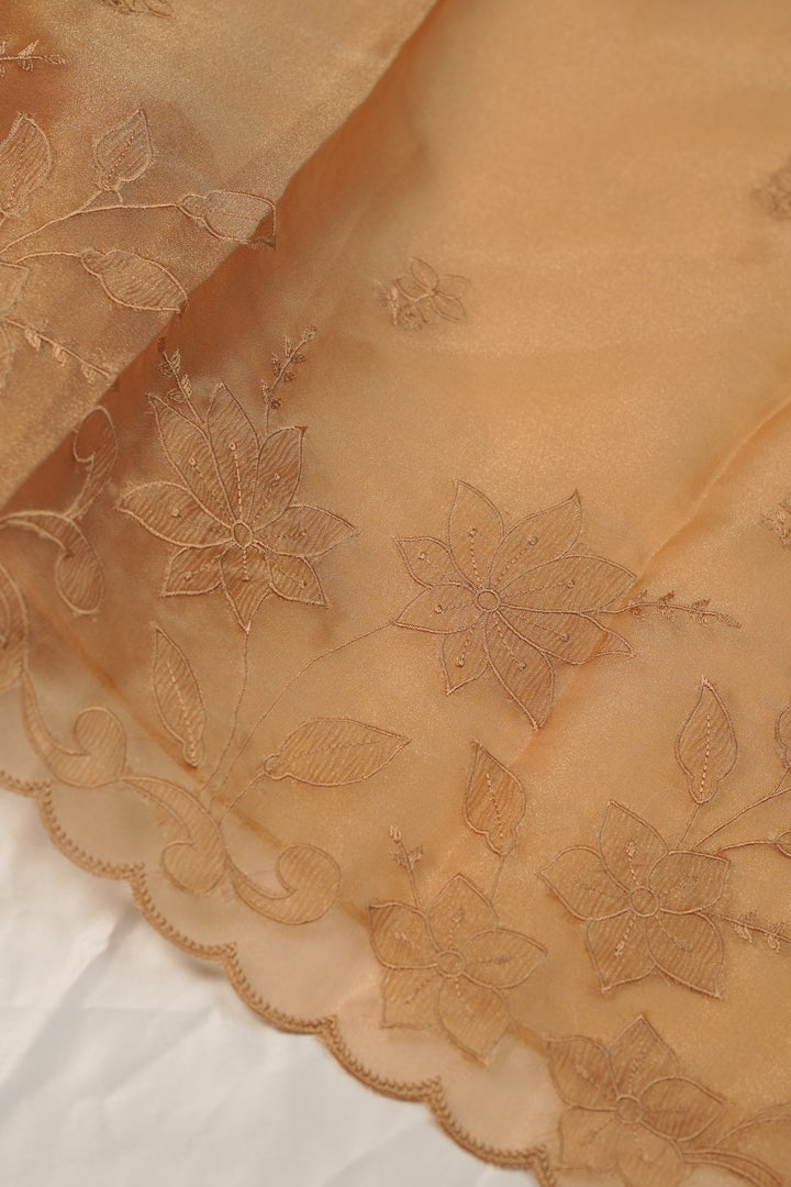 Tissue Organza Salwar TSS01231