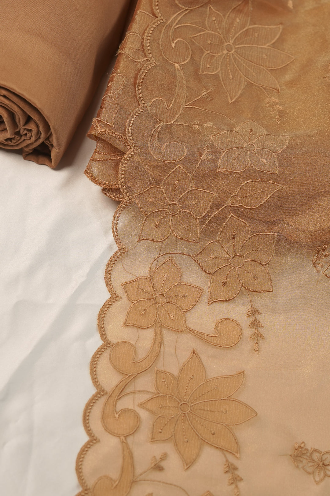Tissue Organza Salwar TSS01231