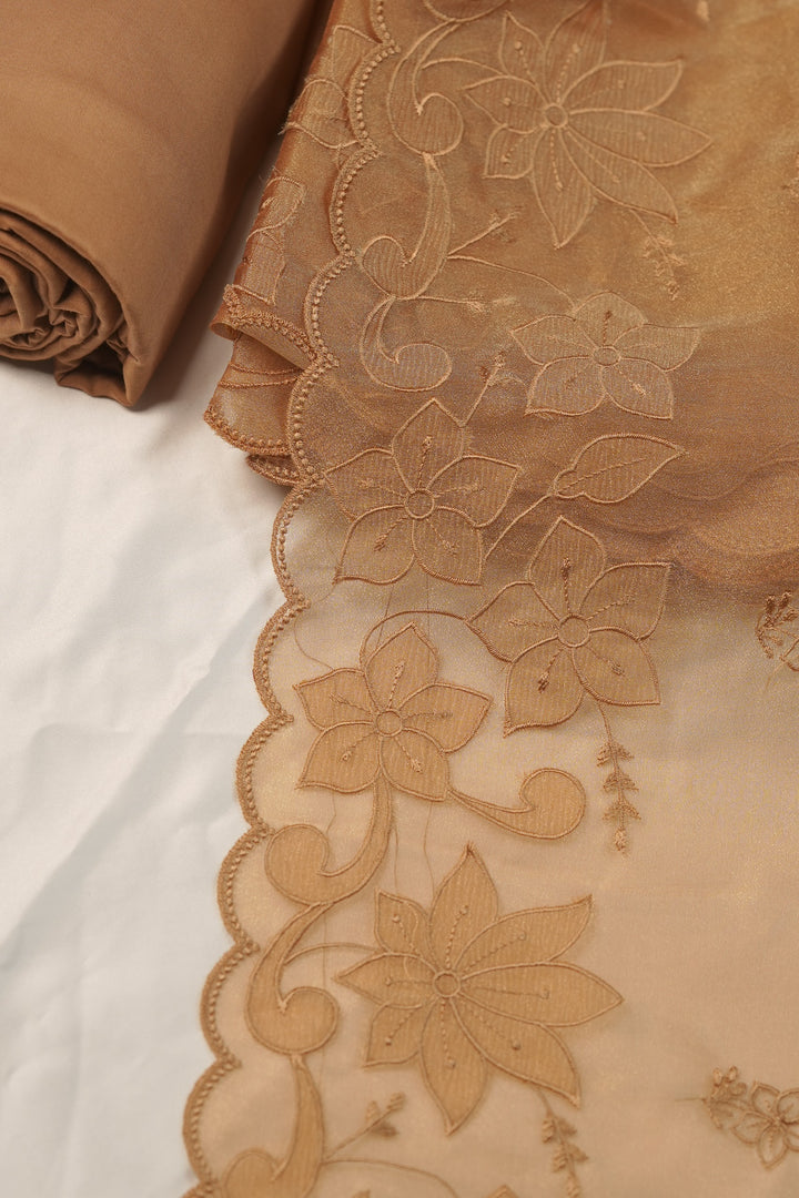Tissue Organza Salwar TSS01231