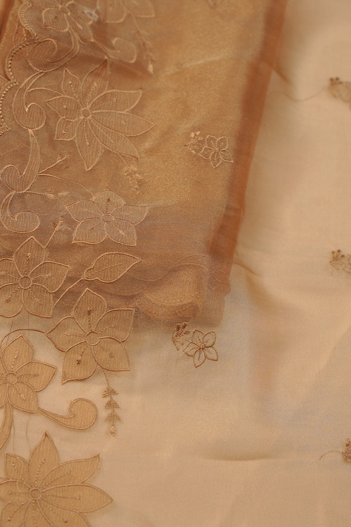 Tissue Organza Salwar TSS01231