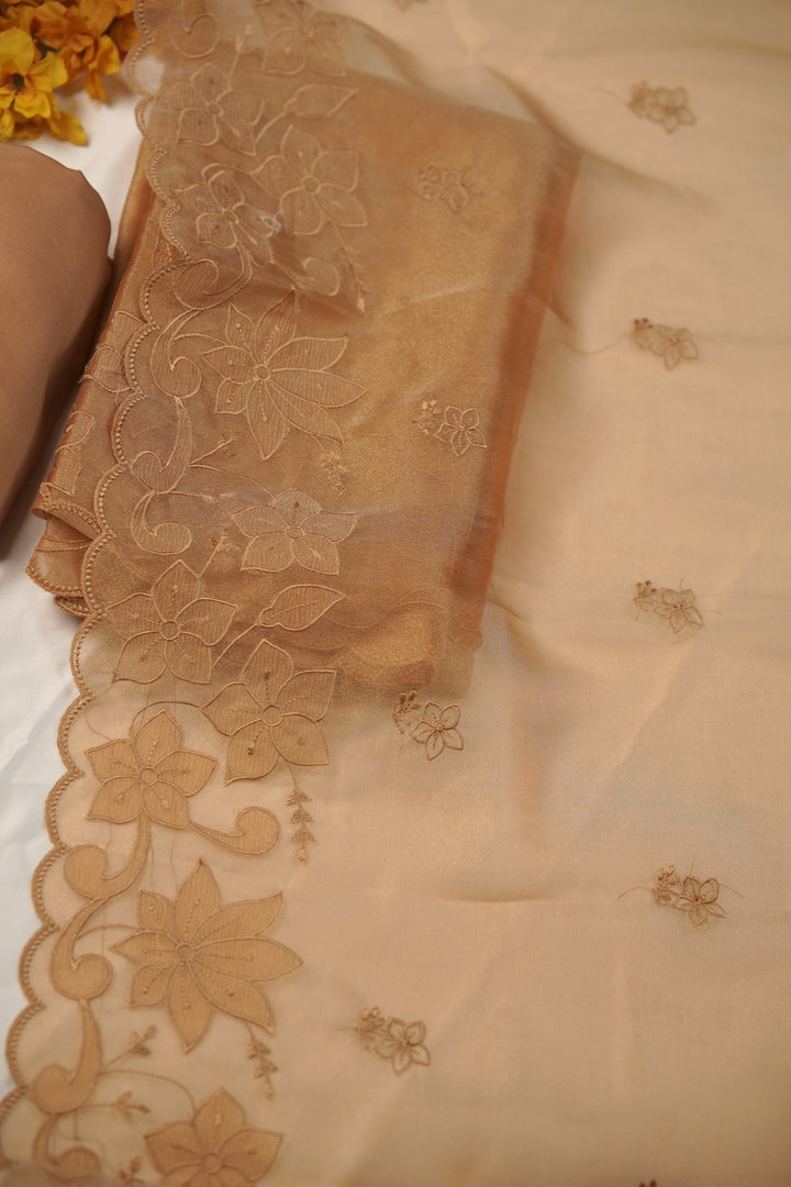 Tissue Organza Salwar TSS01231