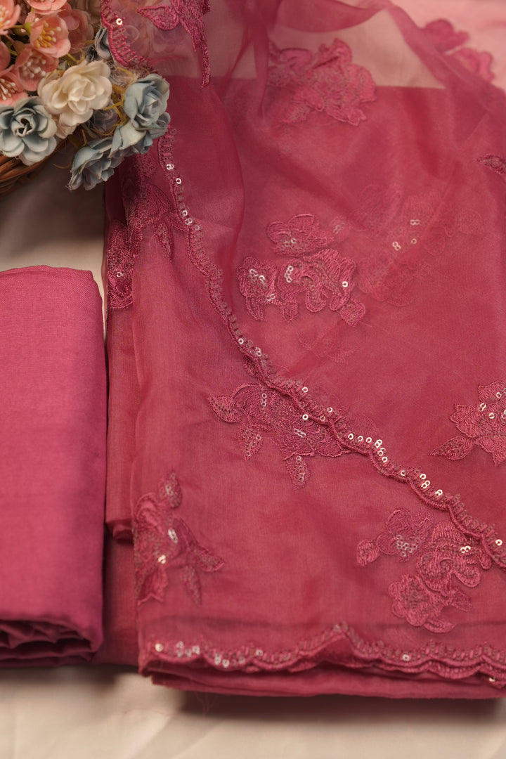 Organza Salwar TSS01230
