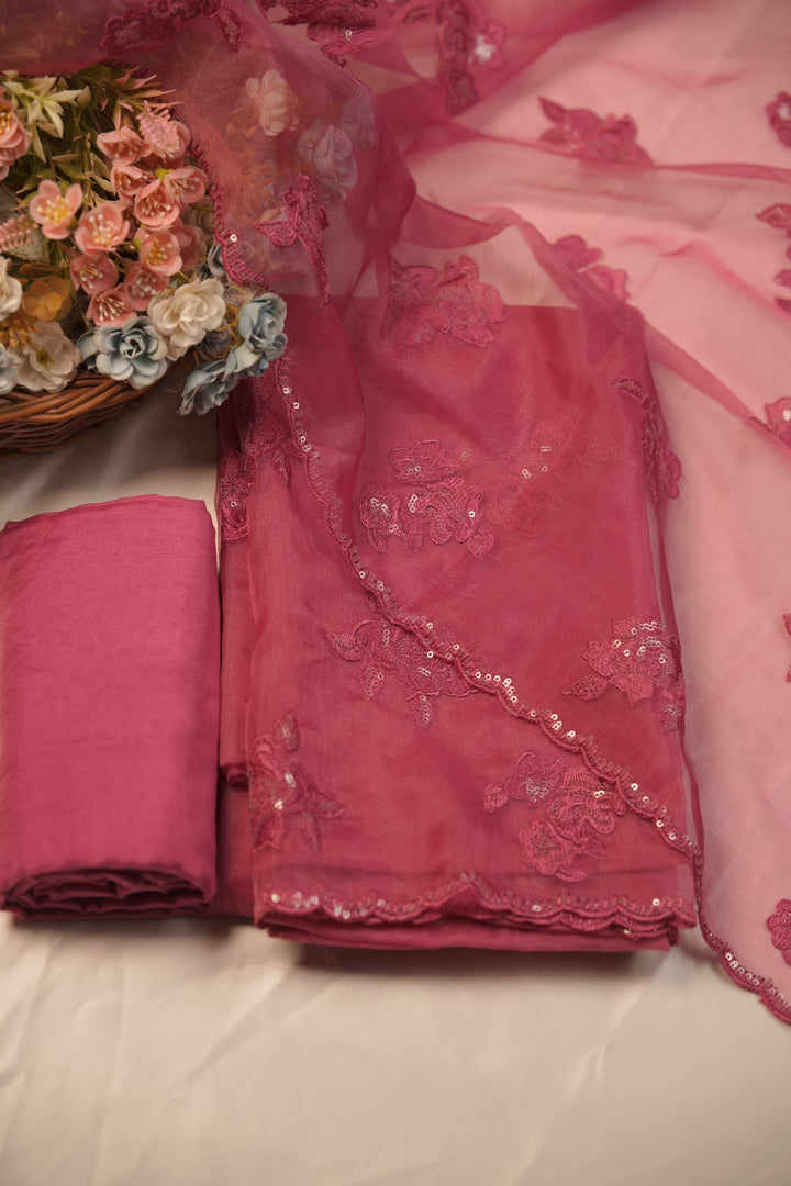 Organza Salwar TSS01230