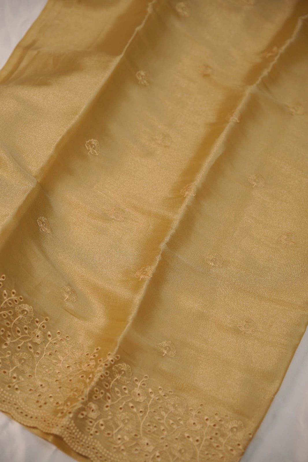 Tissue Organza Salwar TSS01241