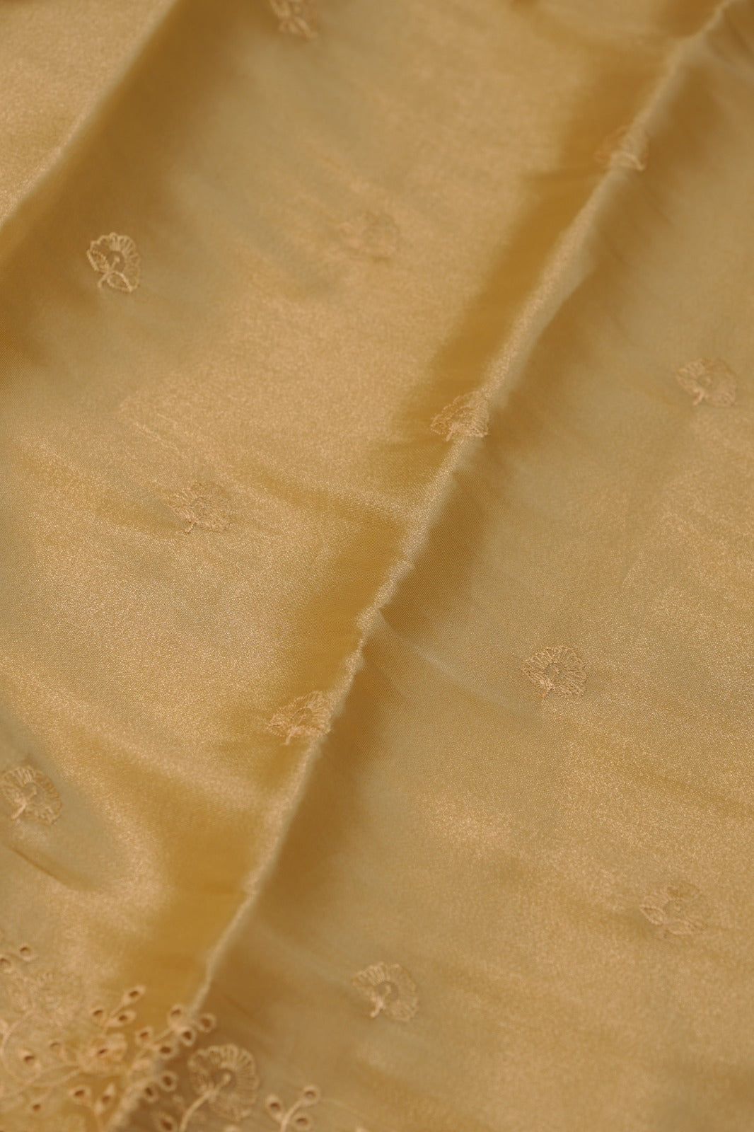 Tissue Organza Salwar TSS01241