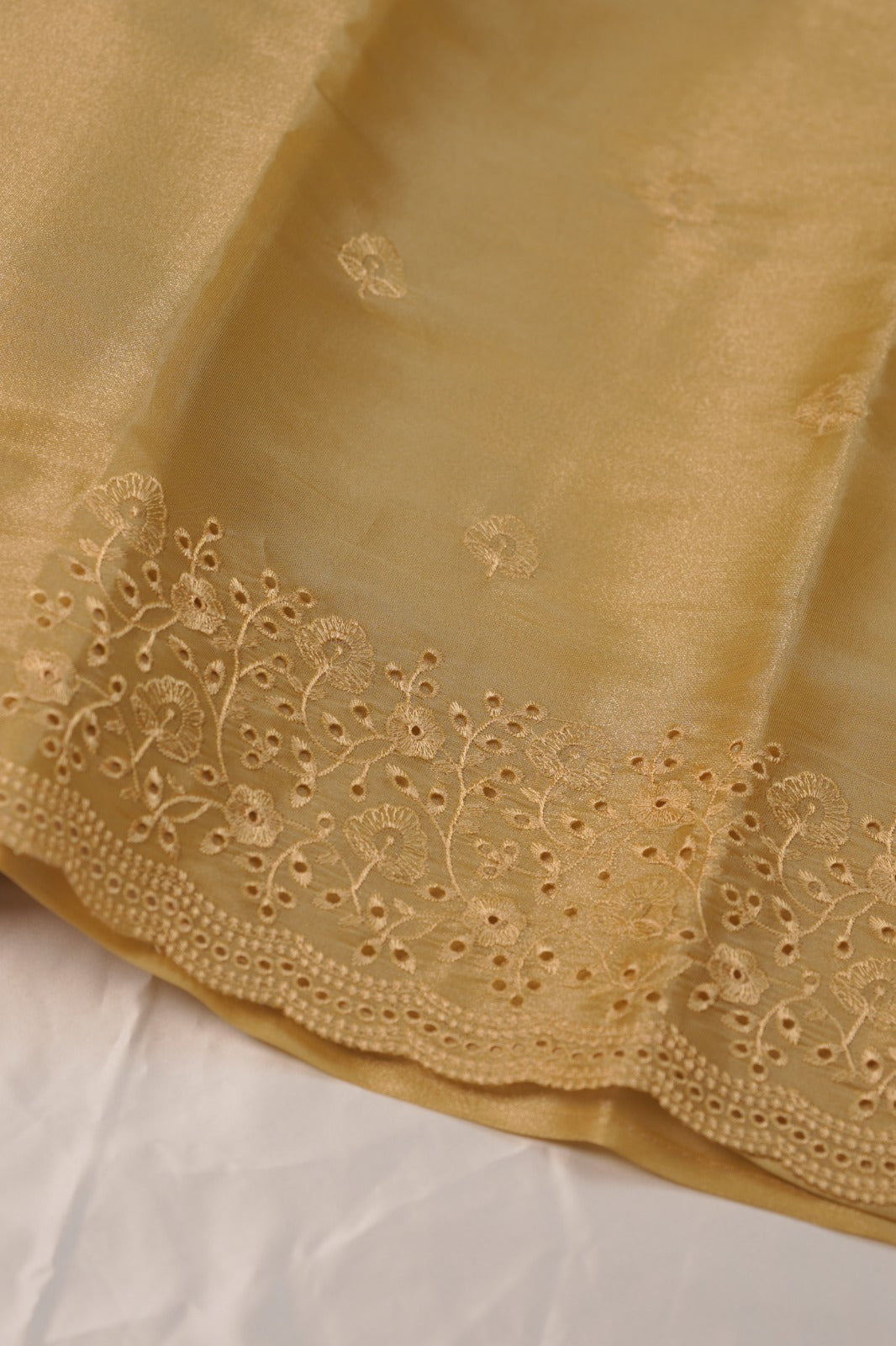 Tissue Organza Salwar TSS01241
