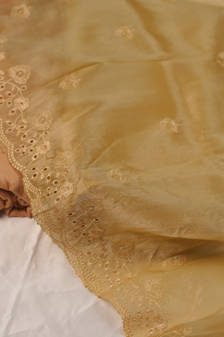 Tissue Organza Salwar TSS01241